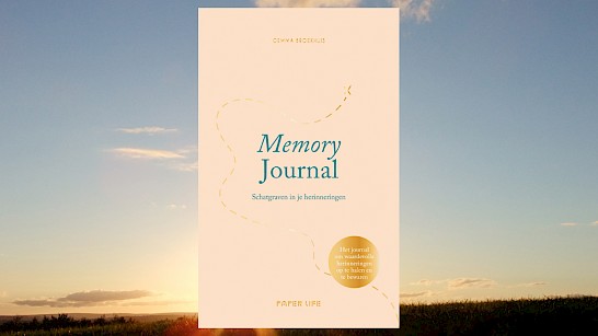 Memory journal