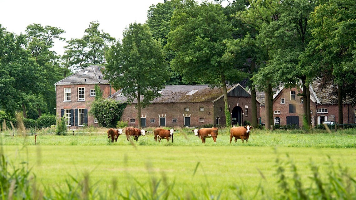 heimwee naar t Oosten