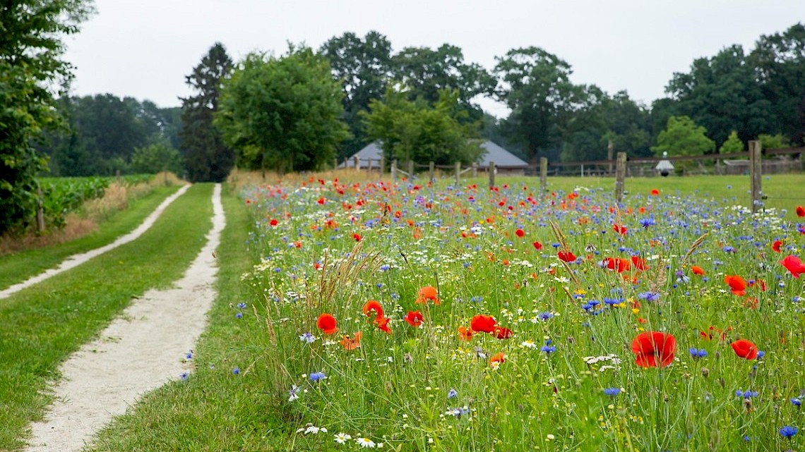 Platform voor Natuurinclusieve landbouw Gelderland