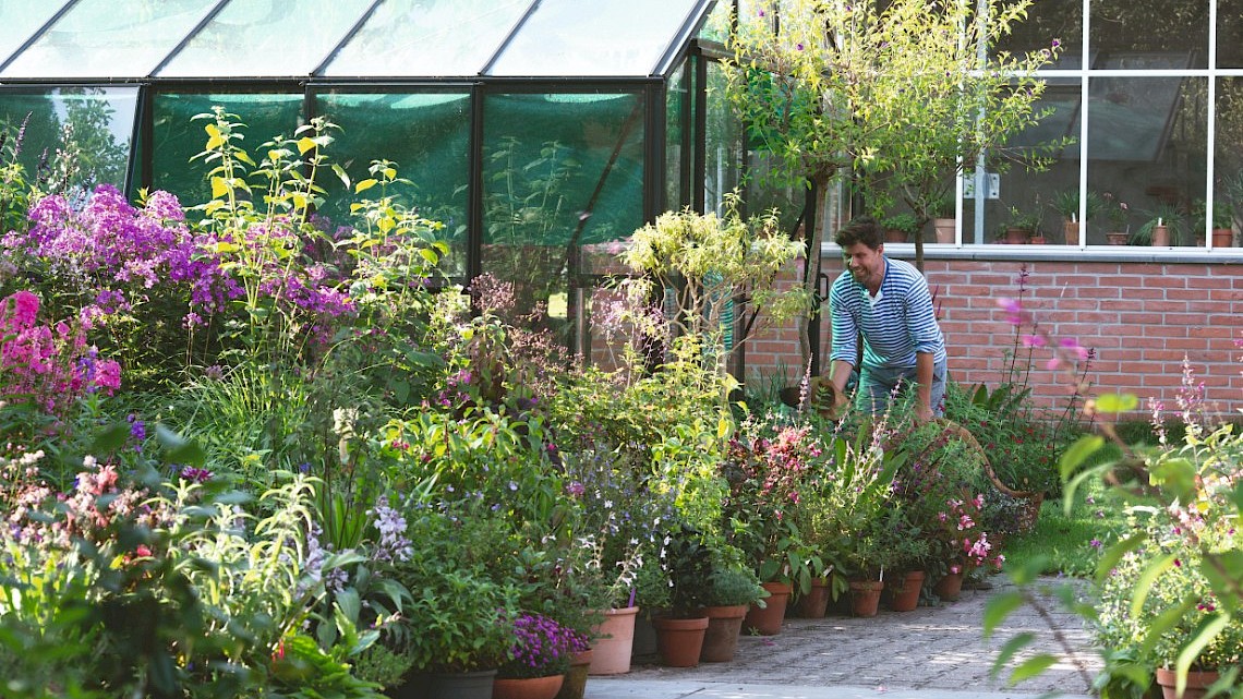 Pottenborders met zomerbloeiers