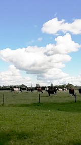 Angerlose Broek (geüpload door Ben Lebbink)