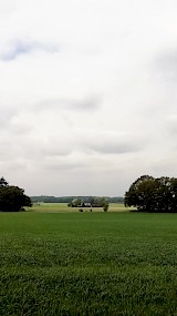 Rondom uitspanning &amp;amp;amp;#039;t Peeske in het Bergherbos