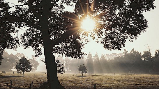 Kleinste dorpen van Twente