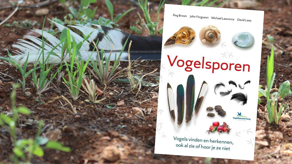 Vogelsporen